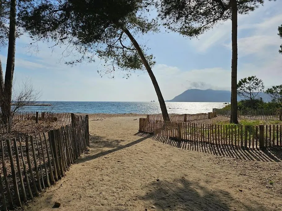 Appartement Petit Paradis Classe 3 Etoiles A 200M De La Plage! Terrasse-Wifi-Parking-Clim à Saint-Mandrier-sur-Mer 0*,  France