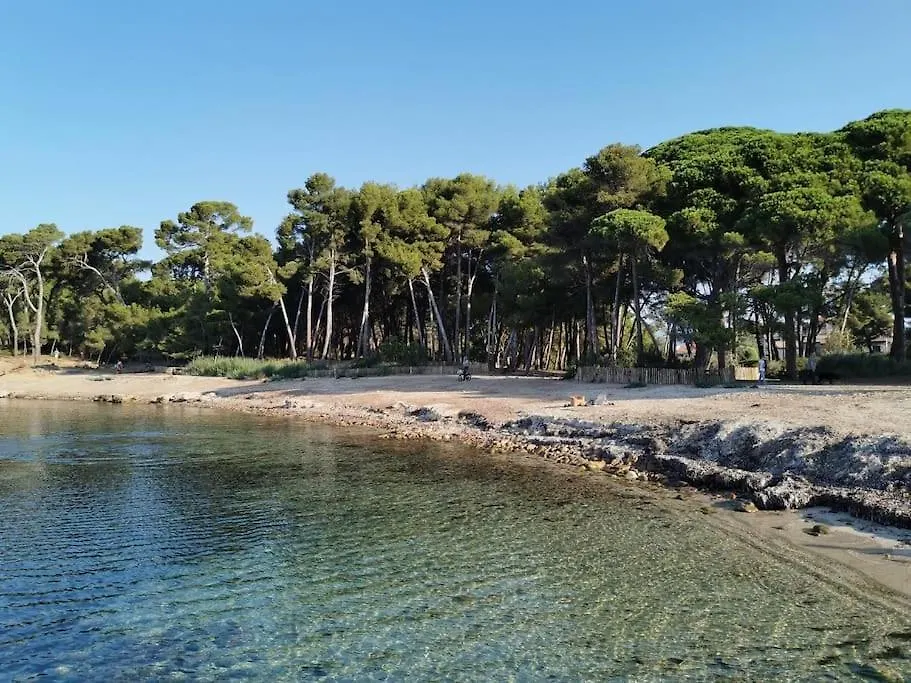 Petit Paradis Classe 3 Etoiles A 200M De La Plage! Terrasse-Wifi-Parking-Clim Saint-Mandrier-sur-Mer Apartment