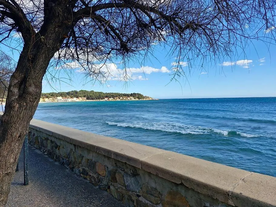 Petit Paradis Classe 3 Etoiles A 200M De La Plage! Terrasse-Wifi-Parking-Clim Saint-Mandrier-sur-Mer