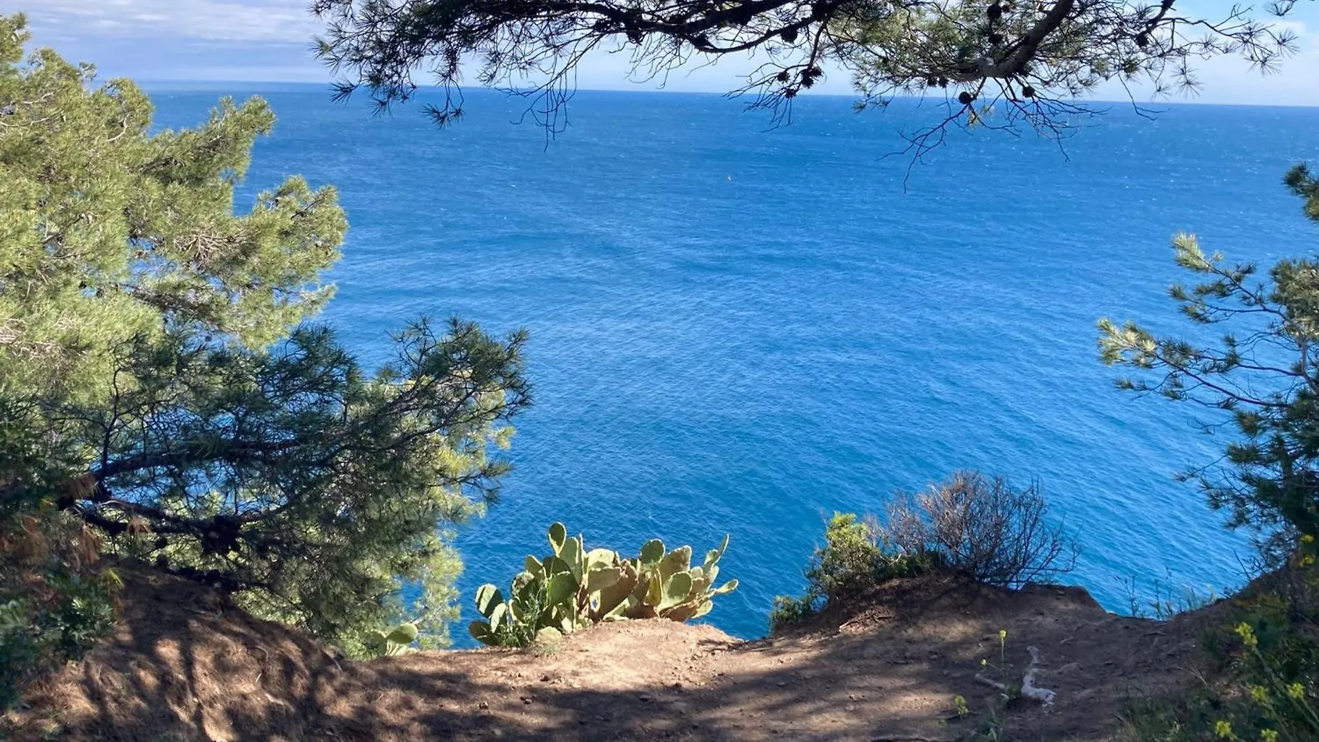 Petit Paradis Classe 3 Etoiles A 200M De La Plage! Terrasse-Wifi-Parking-Clim Saint-Mandrier-sur-Mer 0*,  France